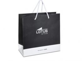 LS2003-2/3
