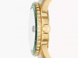 Blue Dive FS6030