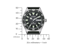 Promaster Mechanical Diver NY0120-01E