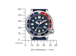 Promaster Eco-Drive Diver BN0168-06L