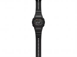 DW-H5600-1ER