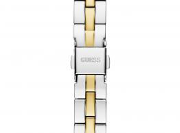Array GW0762L5