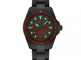DS Action C048.210.11.381.00