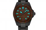 DS Action C048.210.11.381.00