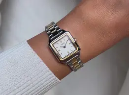Gracieuse Mini CW15501